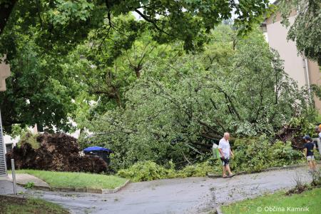 Neurje z vetrom podiralo drevesa in odkrivalo strehe (28)